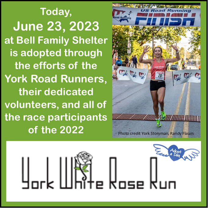 York White Rose Run Adopts June 23 – Bell Socialization